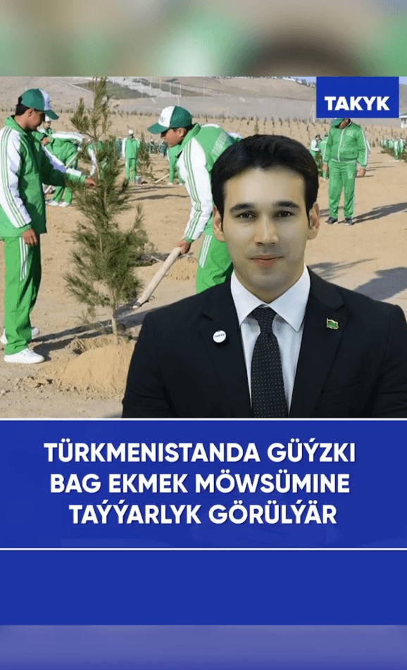 Türkmenistanda güýzki bag ekmek möwsümine taýýarlyk görülýär
