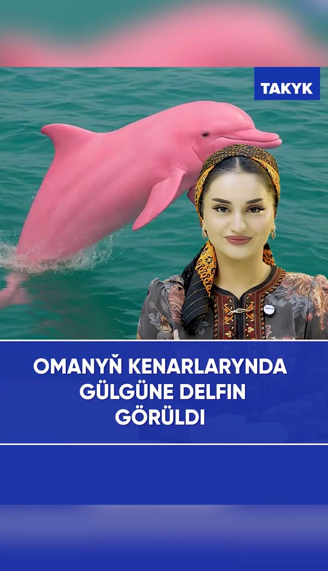 Omanyň kenarlarynda gülgüne delfin göruldi